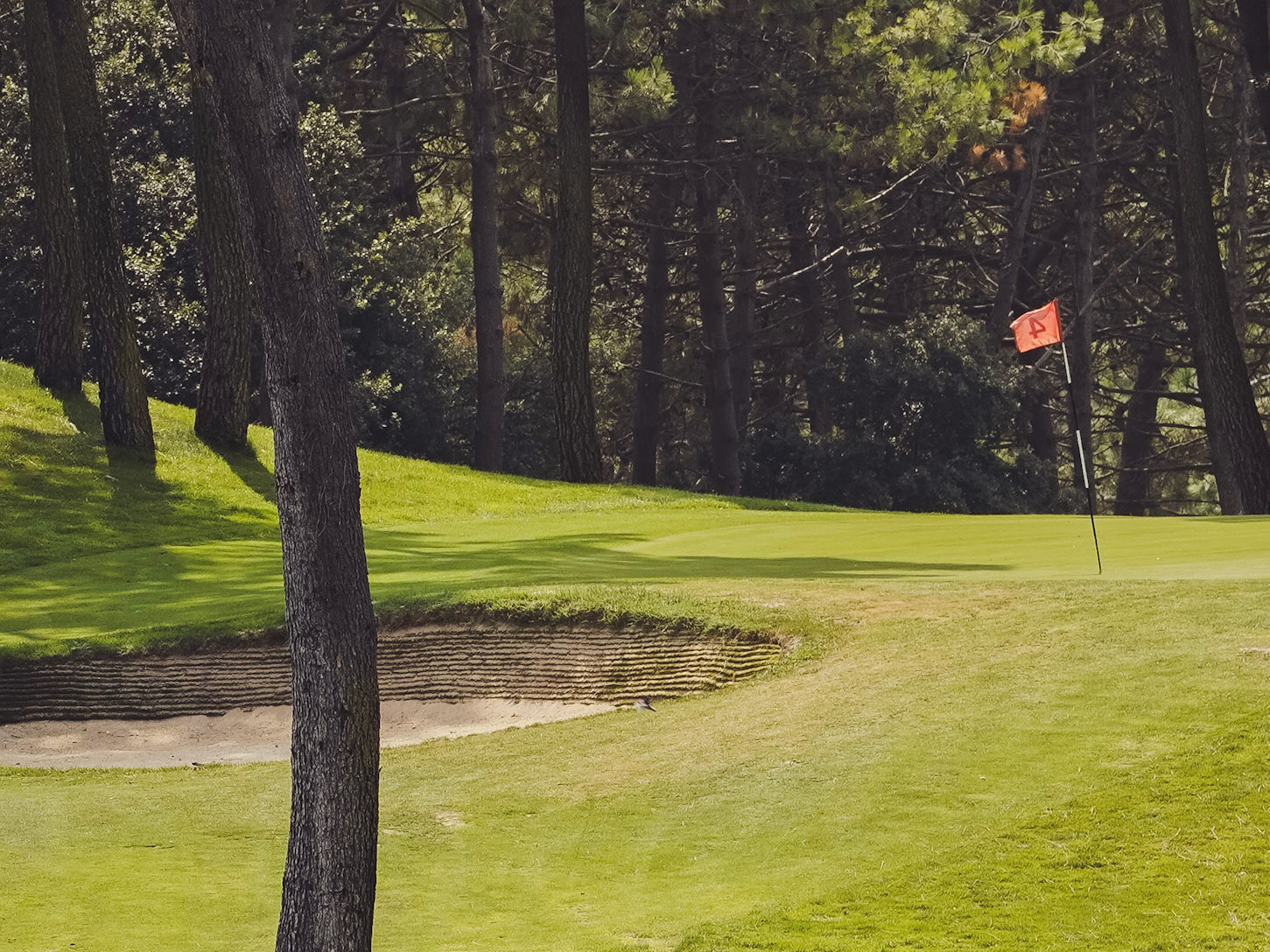 La Palmyre Golf Club